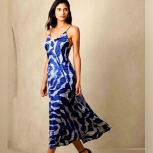 Banana Republic Blue and White Maxi Dress